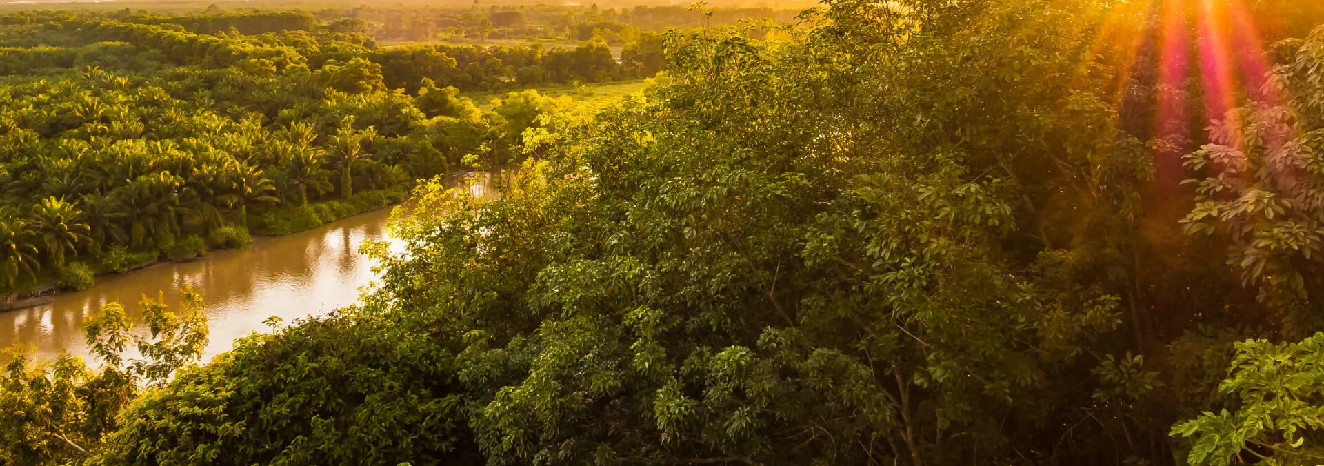 Natureza preservada - compromisso com sustentabilidade